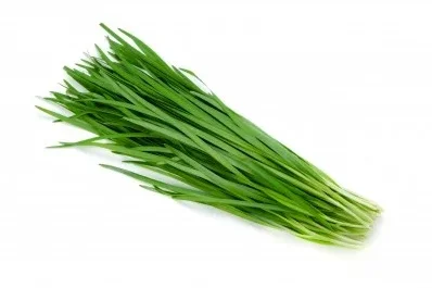 Cebollino 