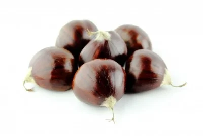 Castaña 