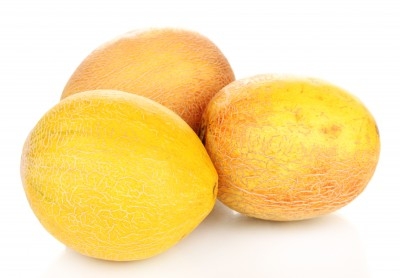 Melon Galia