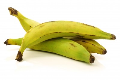 Platanos Macho 