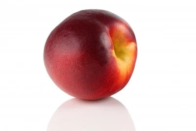 Nectarina 