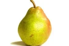 Pera Ercolini 