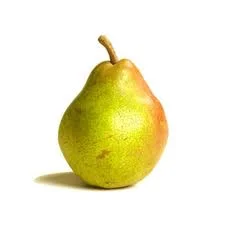 Pera Ercolini 