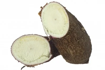 Yuca 