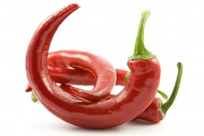 Guindilla 