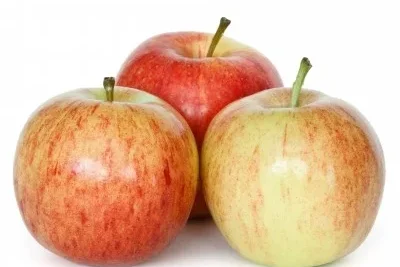 Manzana R. Gala 