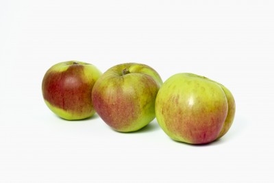 Manzana Reineta 