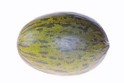 Melón Extra 