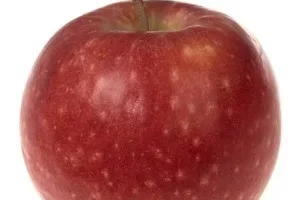 Manzana Pink Lady 