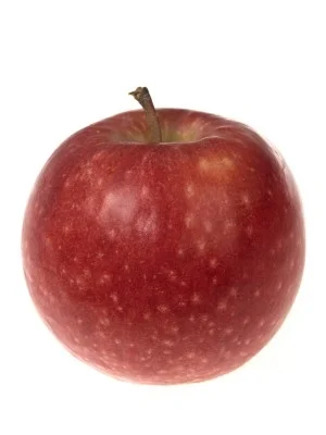 Manzana Pink Lady 