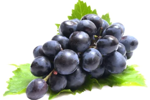 Uvas Negra Sin Pepitas