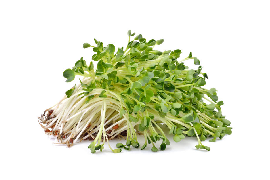 Brote de Alfalfa