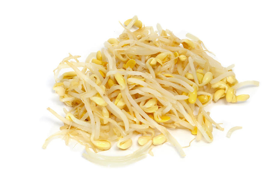 Brote de Soja