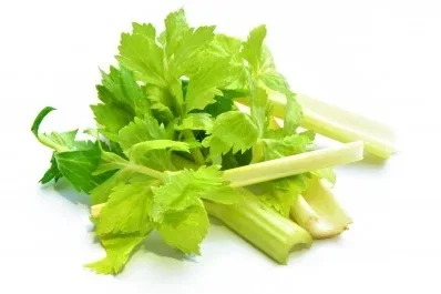 Apio Verde 
