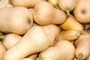 Calabaza 