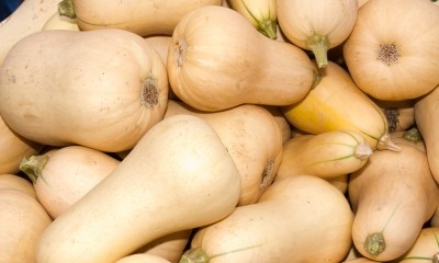 Calabaza 