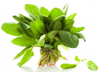 Espinaca