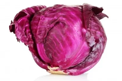 Lombarda 