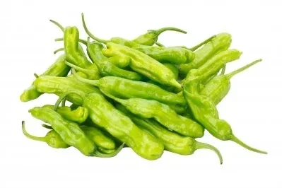Pimiento Padrón 