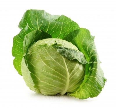 Repollo 