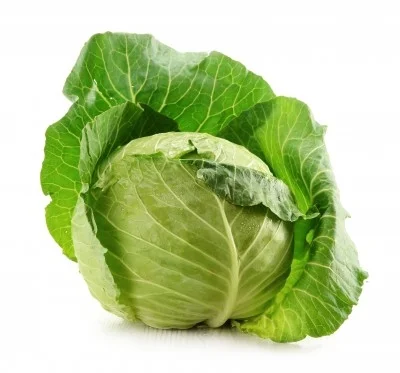 Repollo 