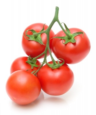 Tomate Rama 