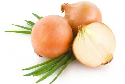 Cebolla
