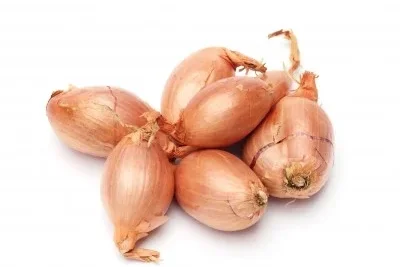 Cebolla Chalota 