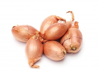 Cebolla Chalota 