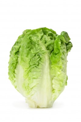 Corazon de Lechuga