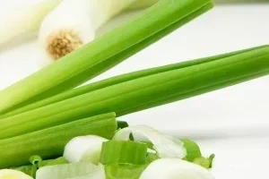 Cebolleta Fresca