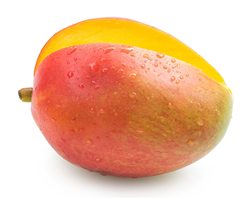 Mango Extra